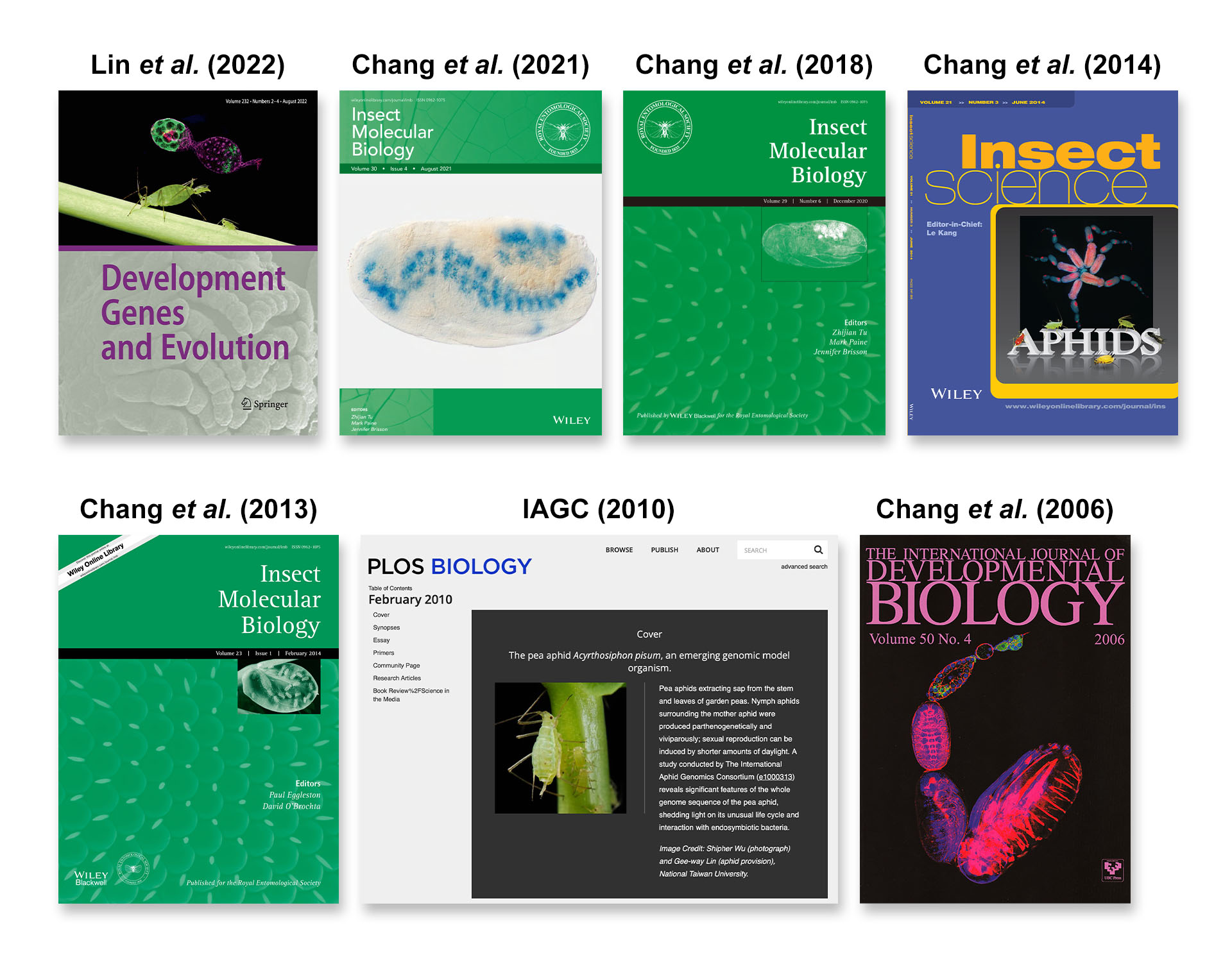 research highlighted on journal covers 