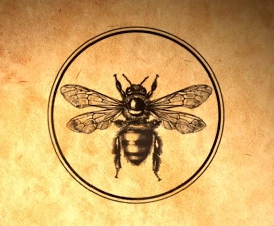 🐝蜜蜂有限公司營業中！！