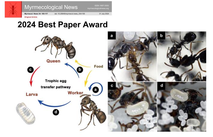 SPT  Best Paper Award