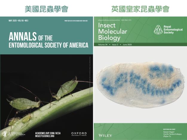 賀🎉本系張俊哲老師團隊蚜蟲基因研究 同登美英期刊封面