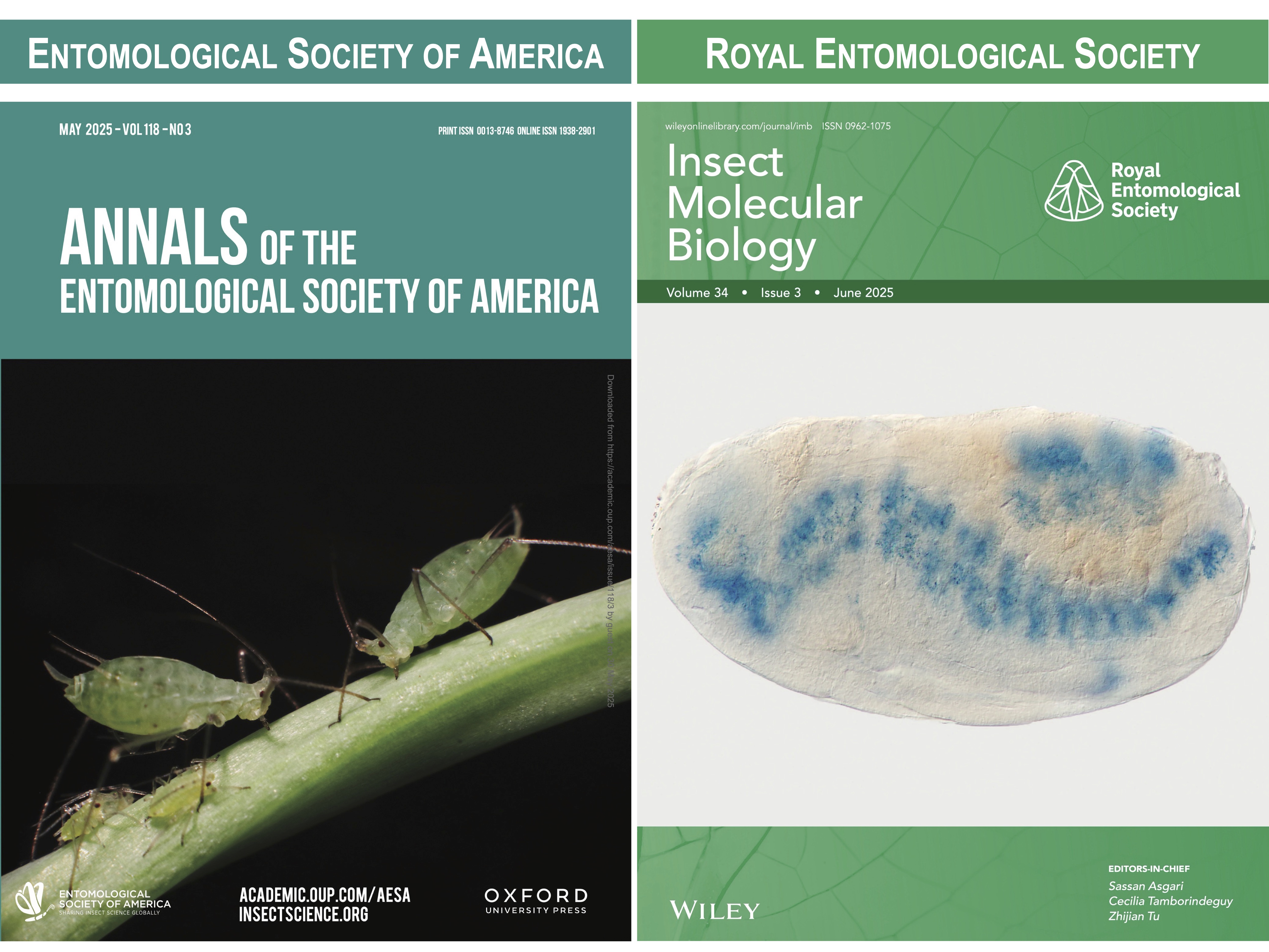 New Milestone: NTU Aphid Gene Research Featured on US and UK Journal Covers